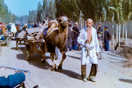 新疆丝路明珠新疆焕发新荣光